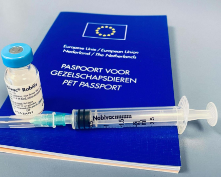 Vaccinatie rabiës 