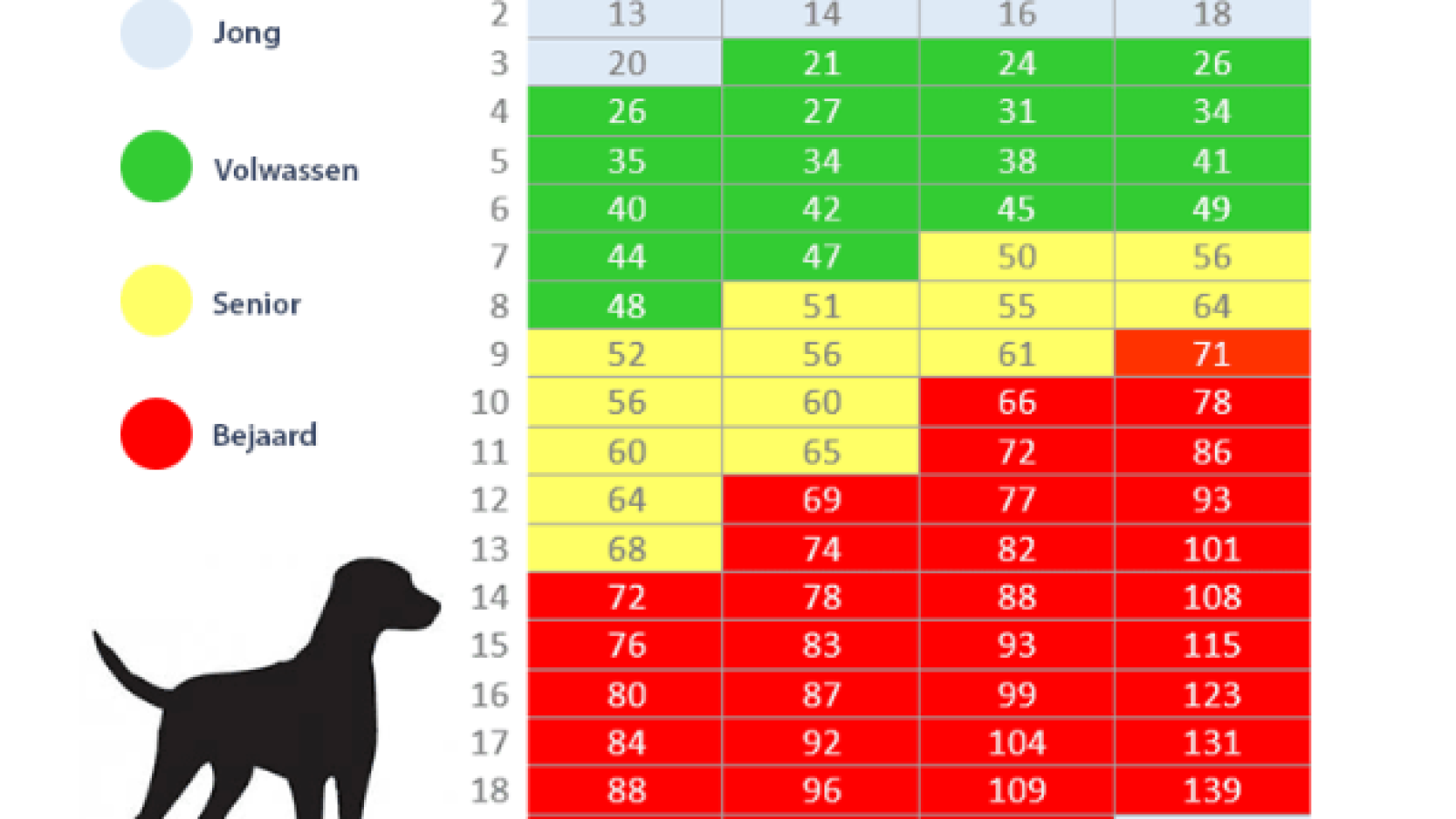 Senior hond checkup Dierenartsenpraktijk De Eggel